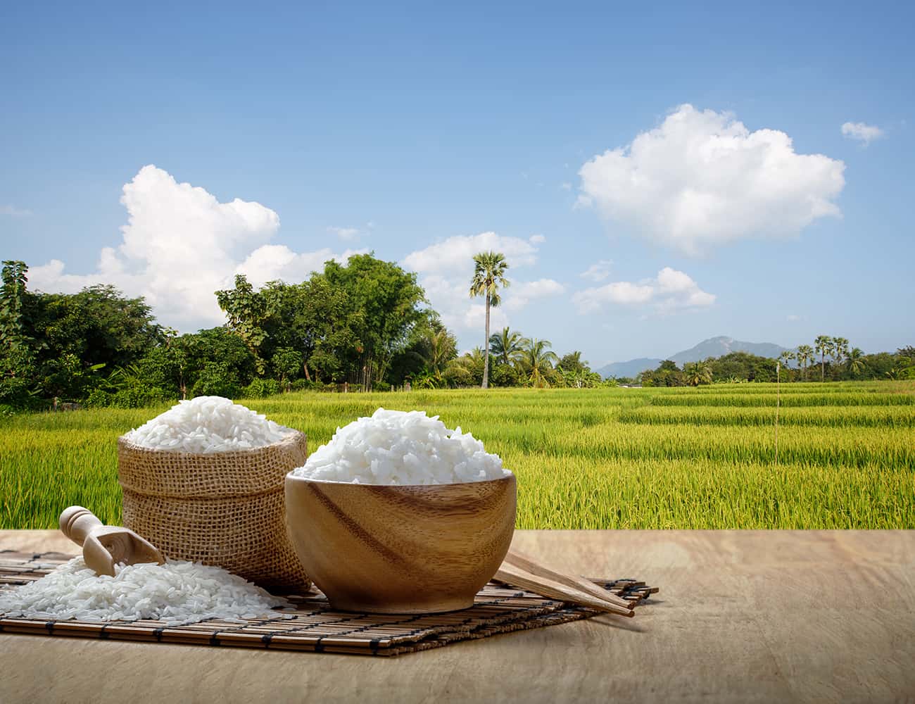 日本の主食 お米について知ろう。「米」は善（膳）!?